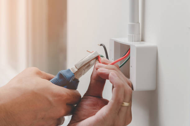 Best Smoke and Carbon Monoxide Detector Installation  in Lyons, WI